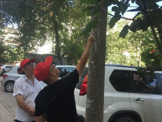 清理小广告 清理小广告